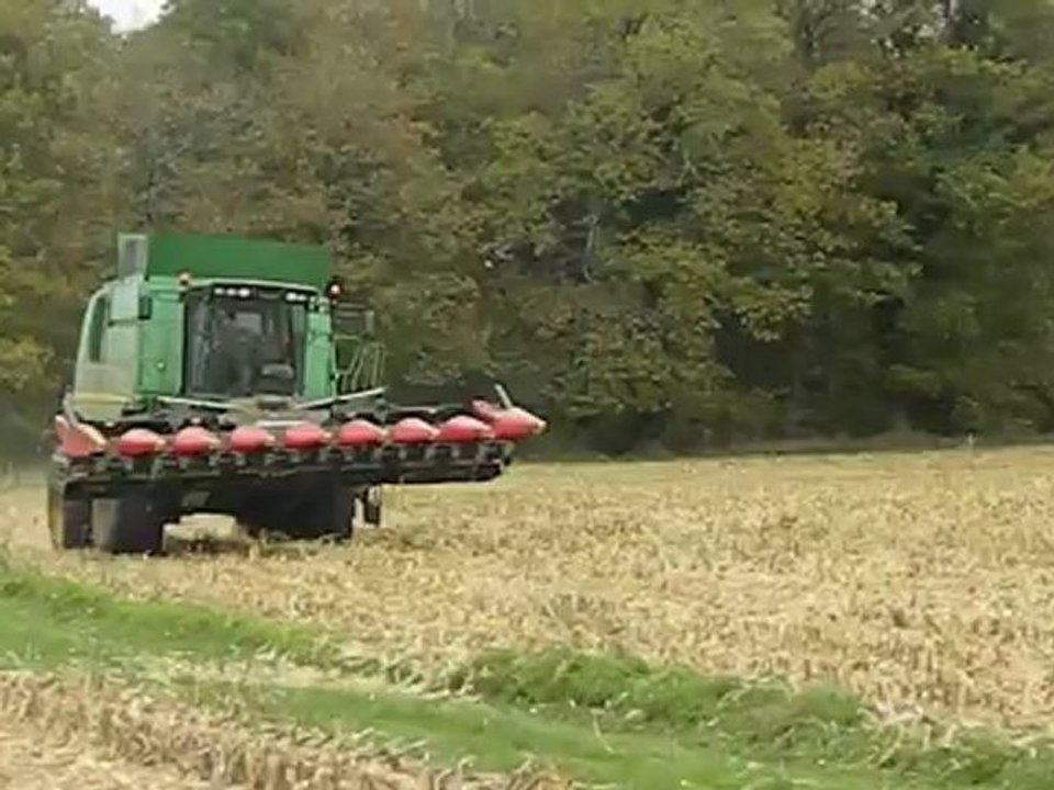 moisson maïs 2