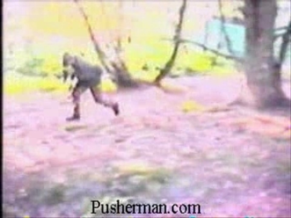 Idiot WoodsBaller
