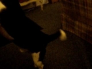 why we go out to eat