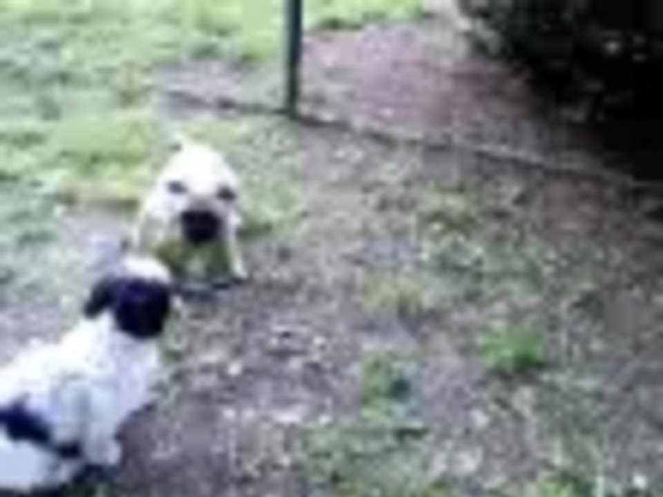 Sydney and Jesse Playing