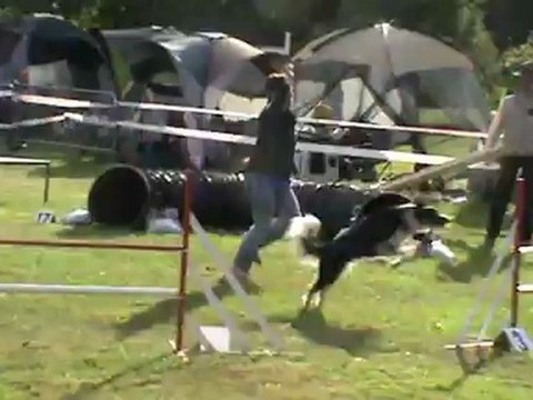 Montage Tania et Eïka en agility