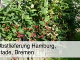 Der Obstkorb - Obstlieferung Hamburg Stade Bremen - Neuenkirchen B. Horneburg, Niederelbe