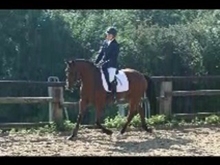 thalys de miline (Désir du chateau x Palestro II)