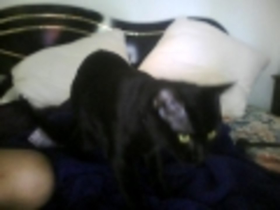 i dont no what he is doing