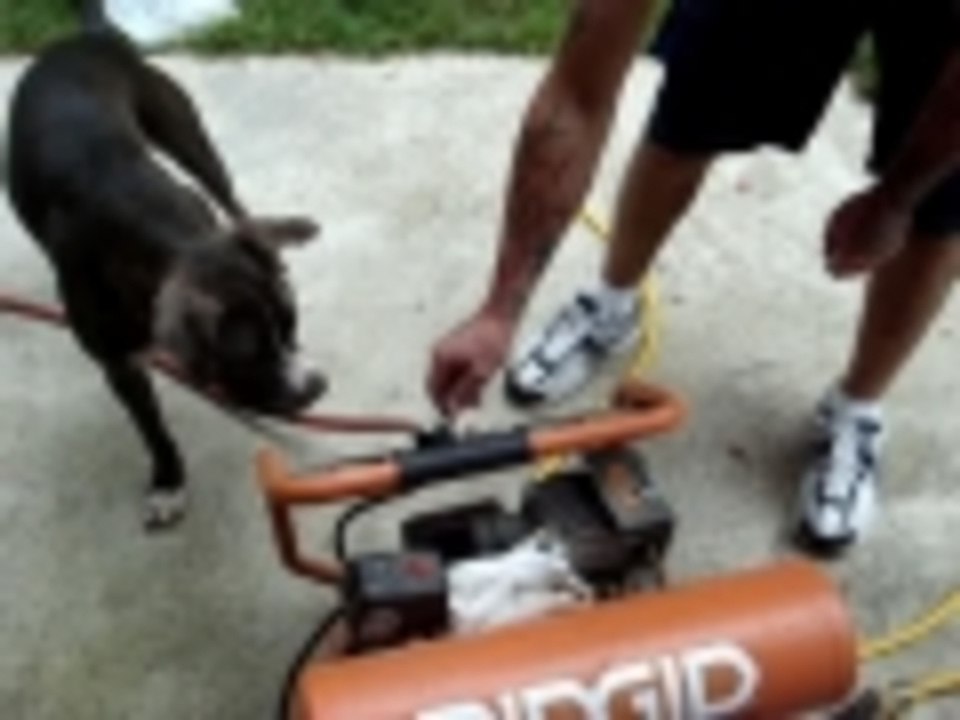 Chloe going after the air from the air compresser