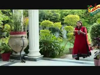 Lively Weekends Ramadan Promo [Yutube.PK]