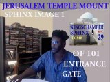 ELONGAETD HEADED ALIEN YESHUA & SPHIN X DSICOVEREDON TEMPLE MOUNT GATE 000110175