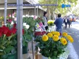 Invariati I Prezzi Dei Fiori Ma Gli Affari Non Vanno Benissimo - News D1 Televisionr TV