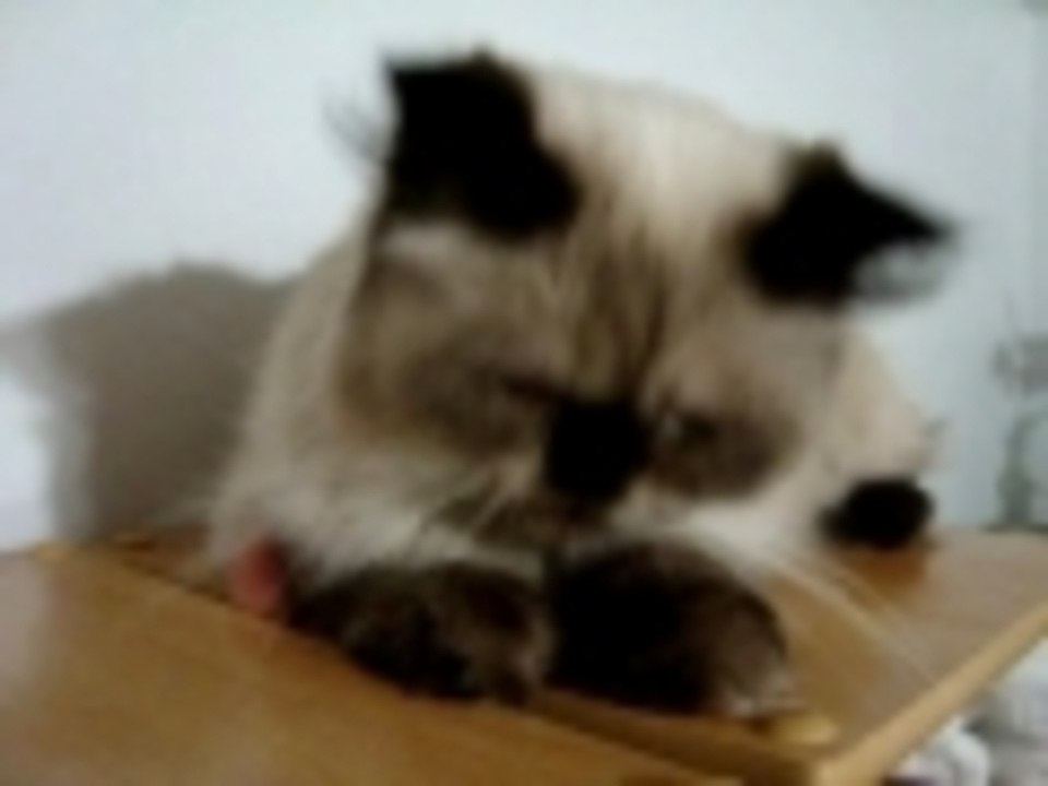 Bean eating my finger