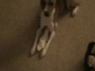 Spaz!