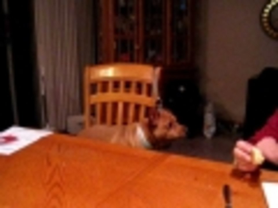 Marley sings do re mi
