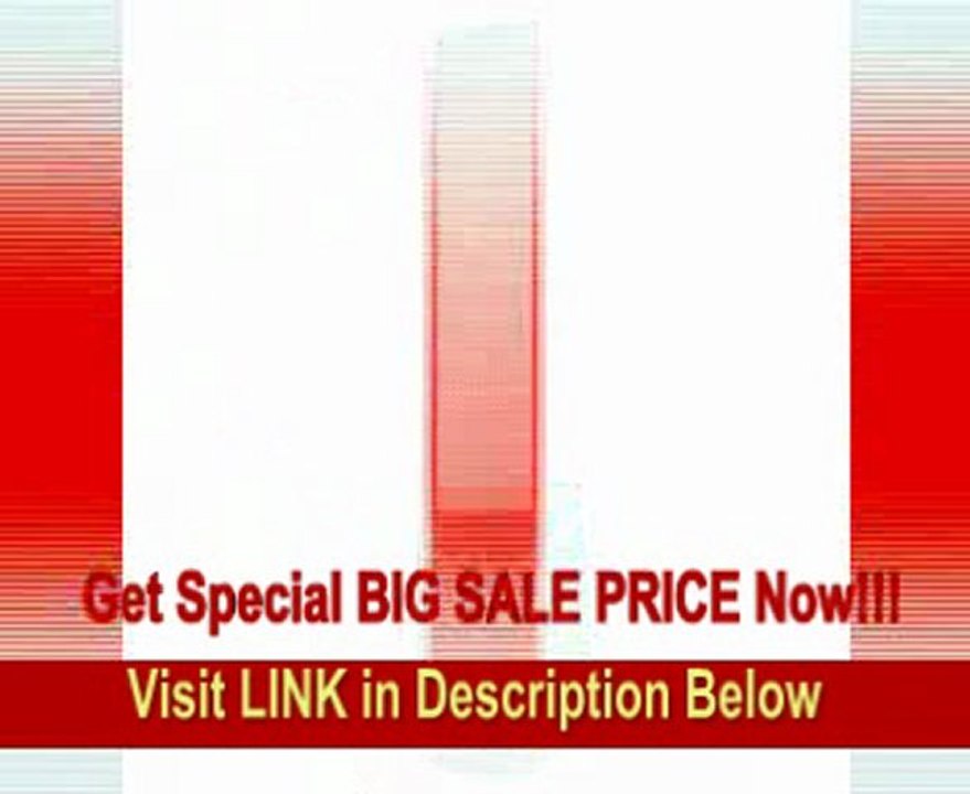 MartinLogan Vista High-Performance Electrostatic Speaker (Single, Natural Cherry/Clear Aluminum) REVIEW
