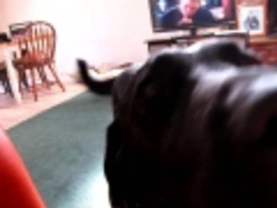 Bob saying Momma