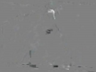 Cat teases Camera