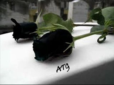 BİLİYORSUN BİR ZAMANLAR & Yeşim Salkım