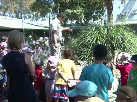 L'Australie abrite les 10 espèces de serpents les plus mortelles