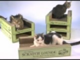Scratch Lounge - Worlds Best Cat Scratcher