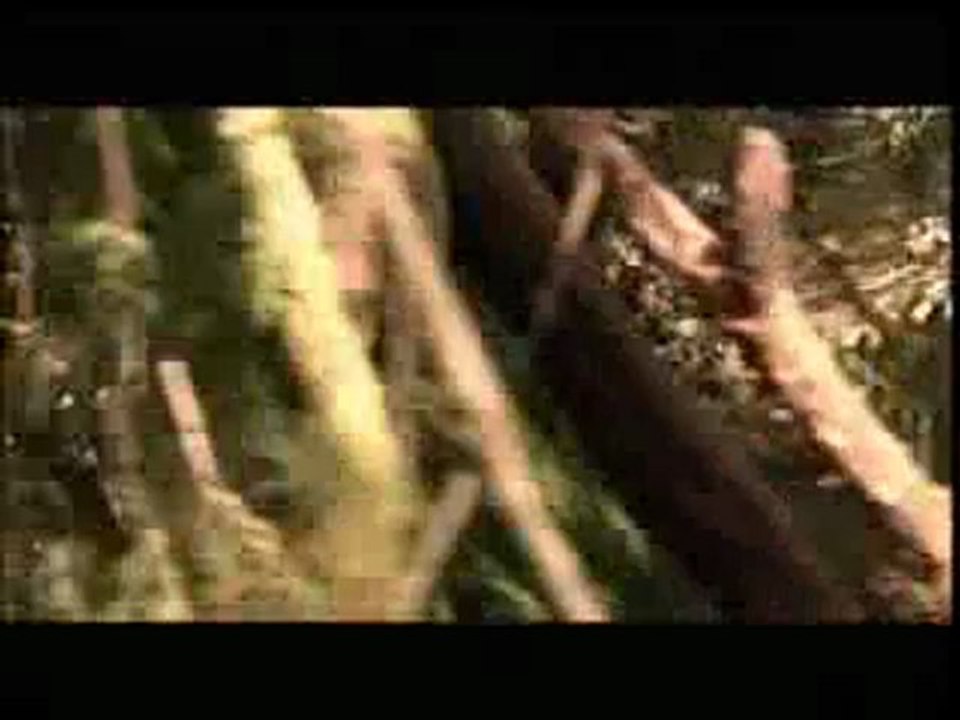 DoRoRo_TH_7-4