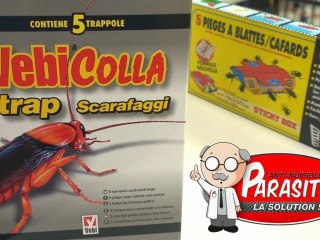 comment se débarrasser des cafards - goliath gel