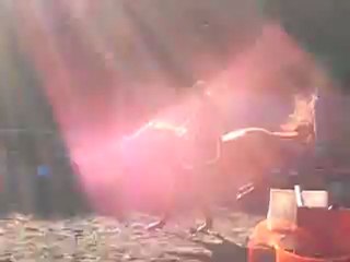 Notre tout 1er saut ensemble ! Tapferkeit Von Kach' par Gunter et Kachou de Soliès