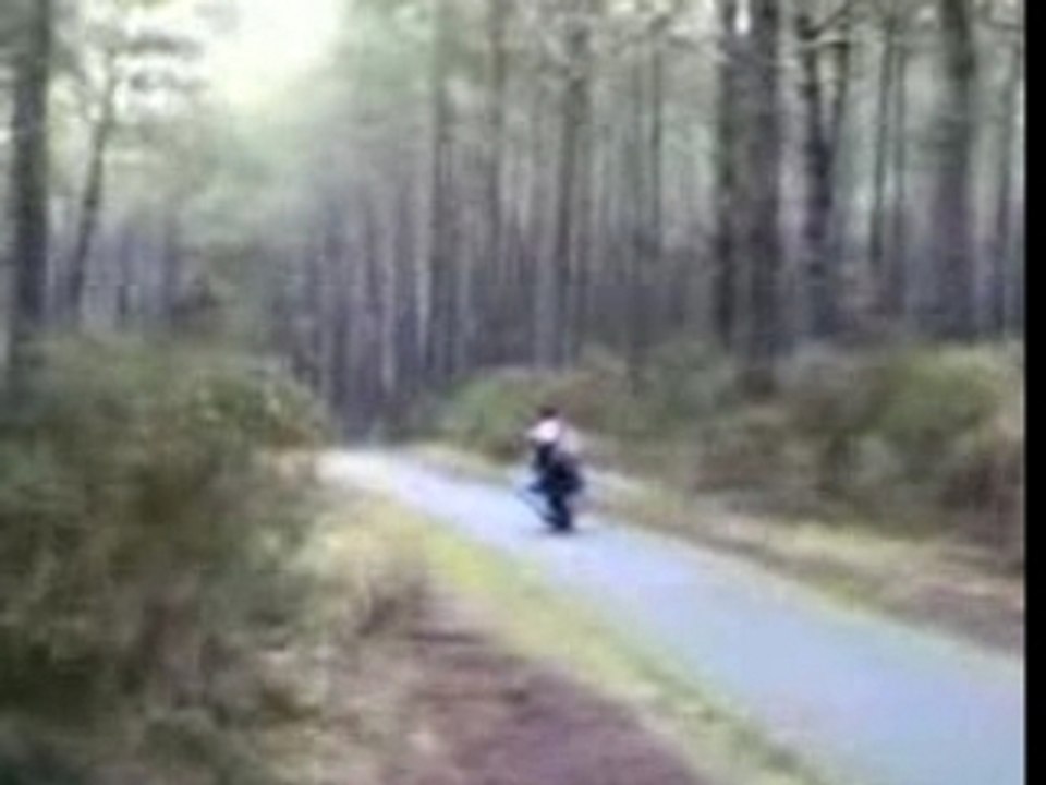 Petit ballade dans les bois