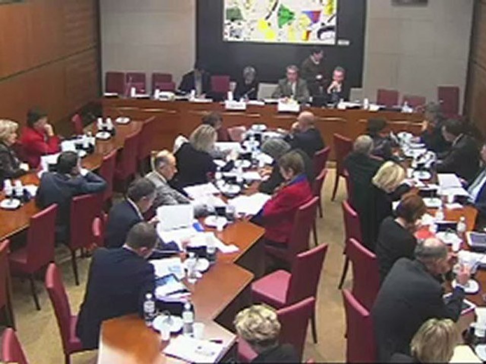 mardi 6 novembre 2012 Commission des affaires culturelles vote des crédits 2013  Sport, jeunesse et vie associative