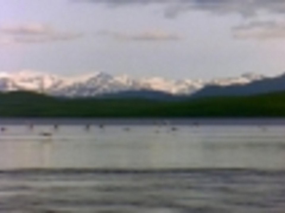 Lake Doggie