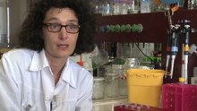 Dre Ariane Giacobino. La trisomie 21: un chromosome en trop