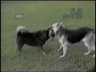 The Ultimate Tug-O-War