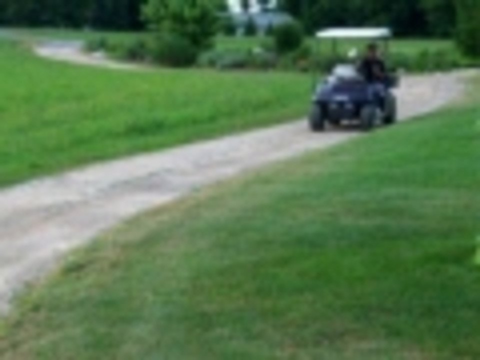 Cat riding on golf cart