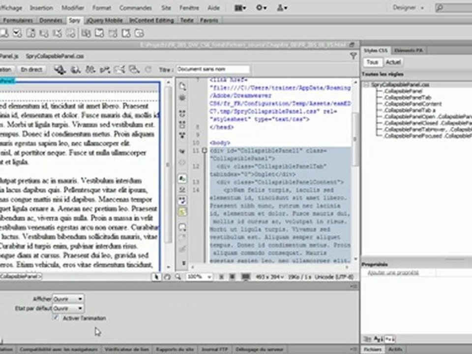 Adobe Dreamweaver CS6 : Panneau réductible