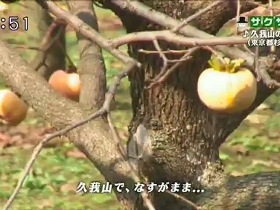 sakusaku2012.11,02.3