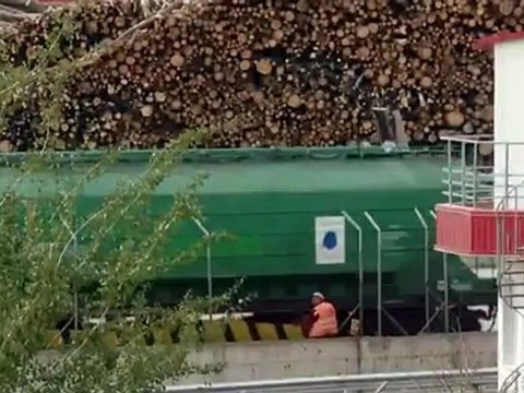 Rumanía: peligro de deforestación en los Cárpatos | Europa semanal
