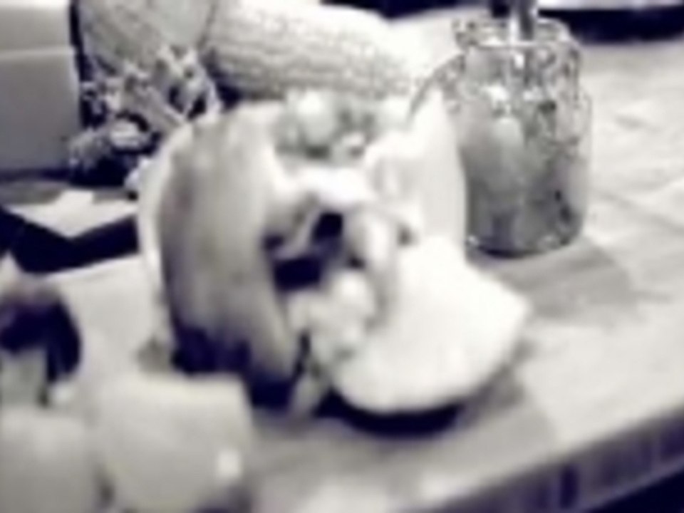 Une recette de pâté chinois de luxe!