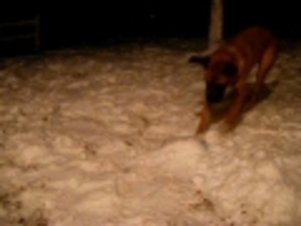 Snow Fun