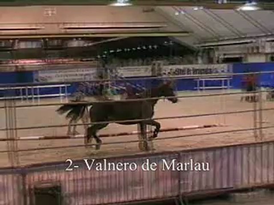 02-Valnero de Marlau