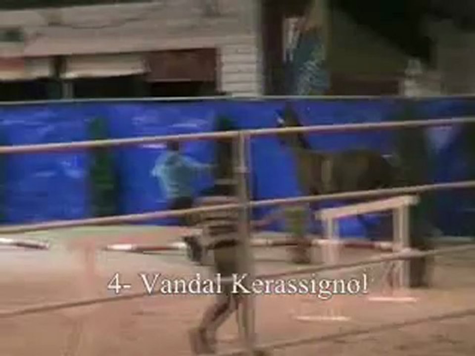 04-Vandal Kerassignol