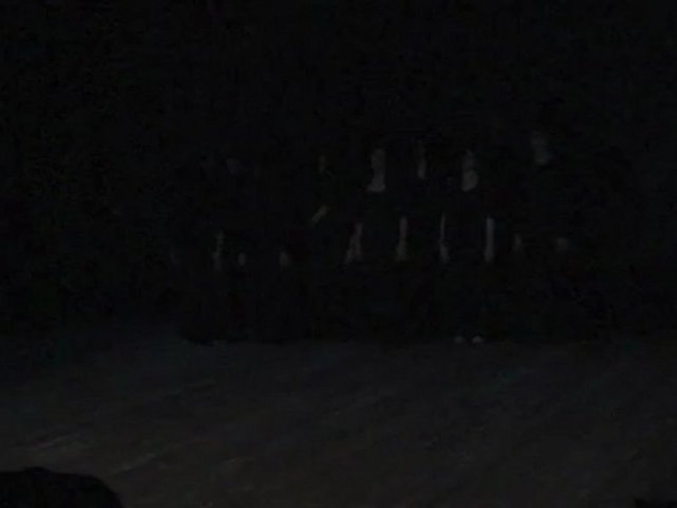 La Forêt des Invisibles. Tableau 1