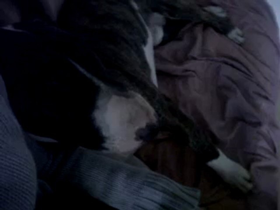 VID 00063-20121108-1535