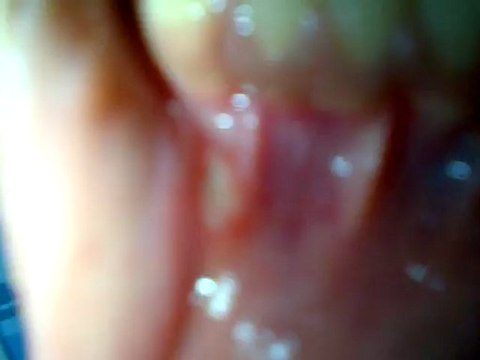 VID-20121107-00003