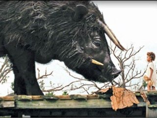 Beasts of the Southern Wild (2012) online watch www.hdmegavideo.net