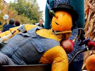 Pumpkin man - Free HD stock footage