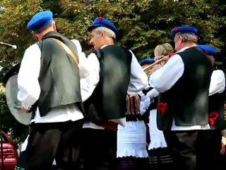 Folk musician - Free HD stock footage