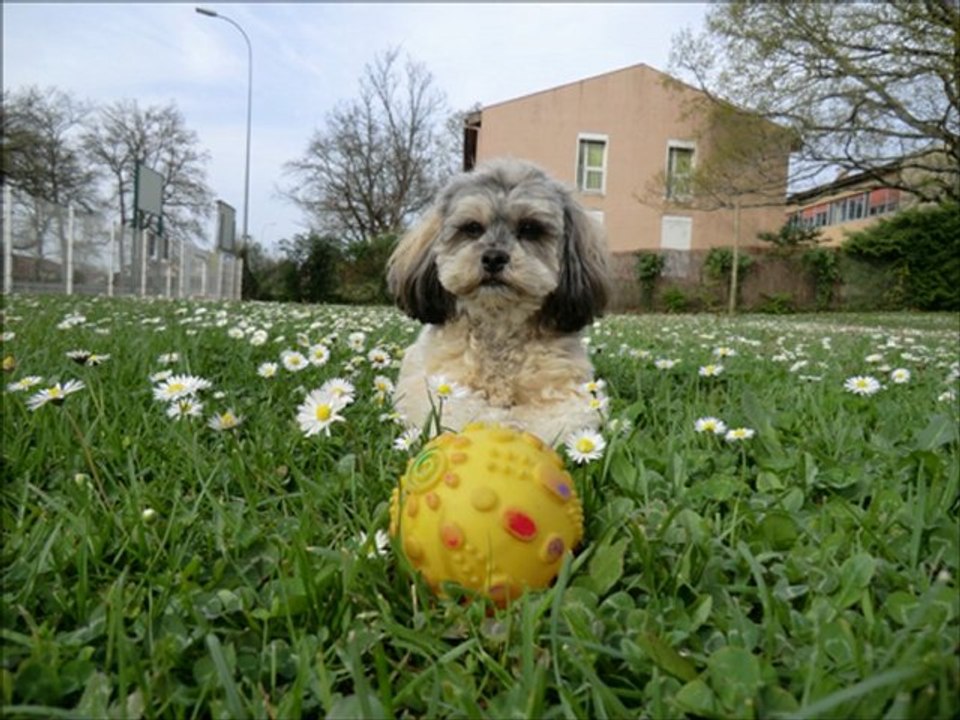 anniversaire paillette 9 novembre 2012 (3 ans)