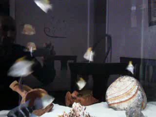 Video0022