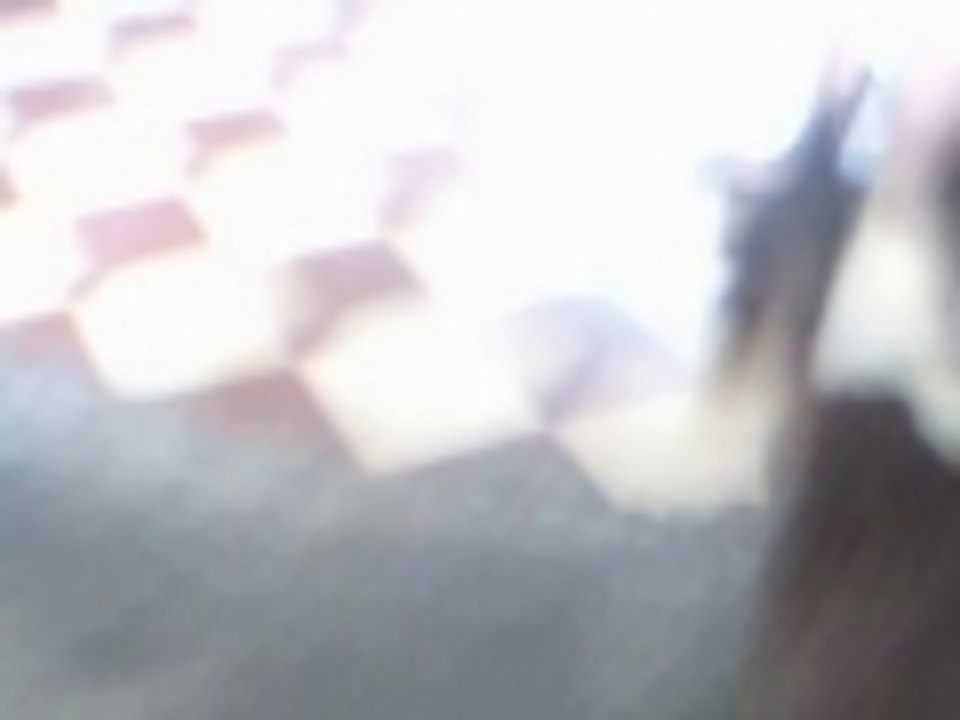 brix