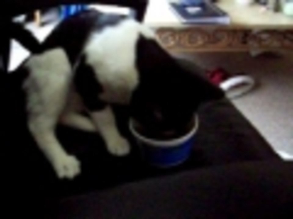 I love catnip