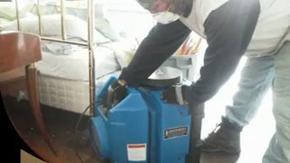 Water & Mold Removal Northfield NJ 609-404-9635 - Golden Hands