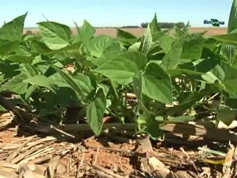 Dia de Campo na TV do dia 10-11-12