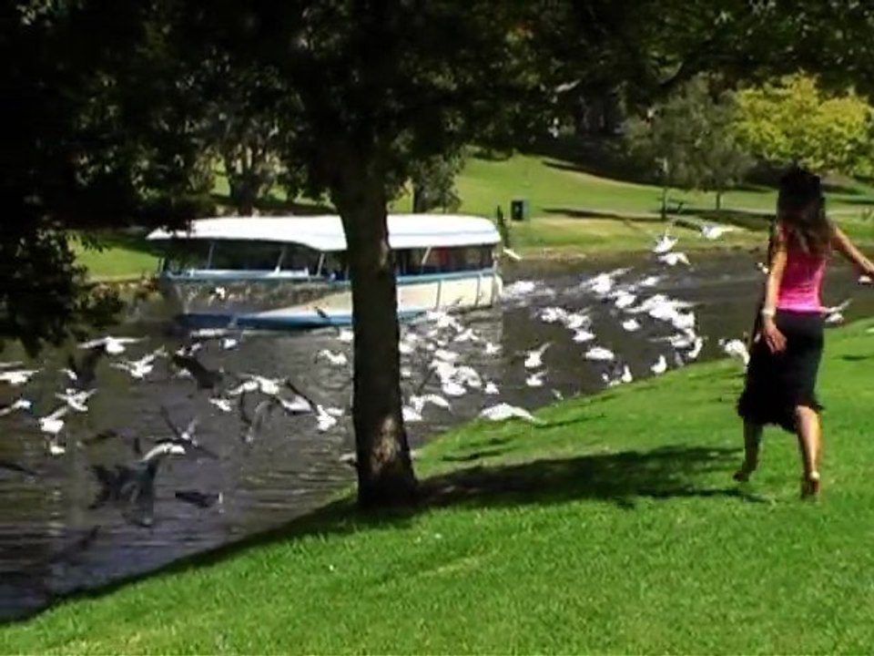 OZ TA VIE 11/13 ADELAÏDE ET LA BAROSSA VALLEY (FRANCAIS)